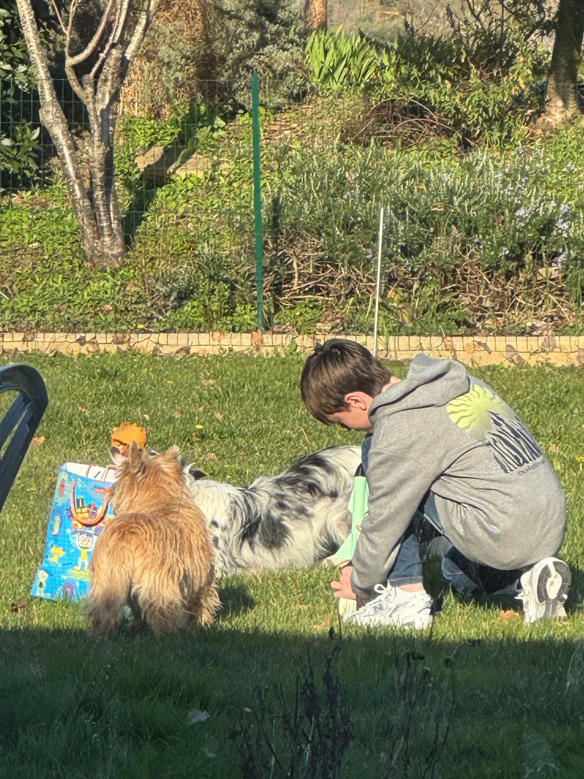 W 3.00 — Vue de côté